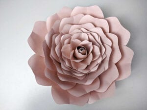 Giant Paper Rose Template