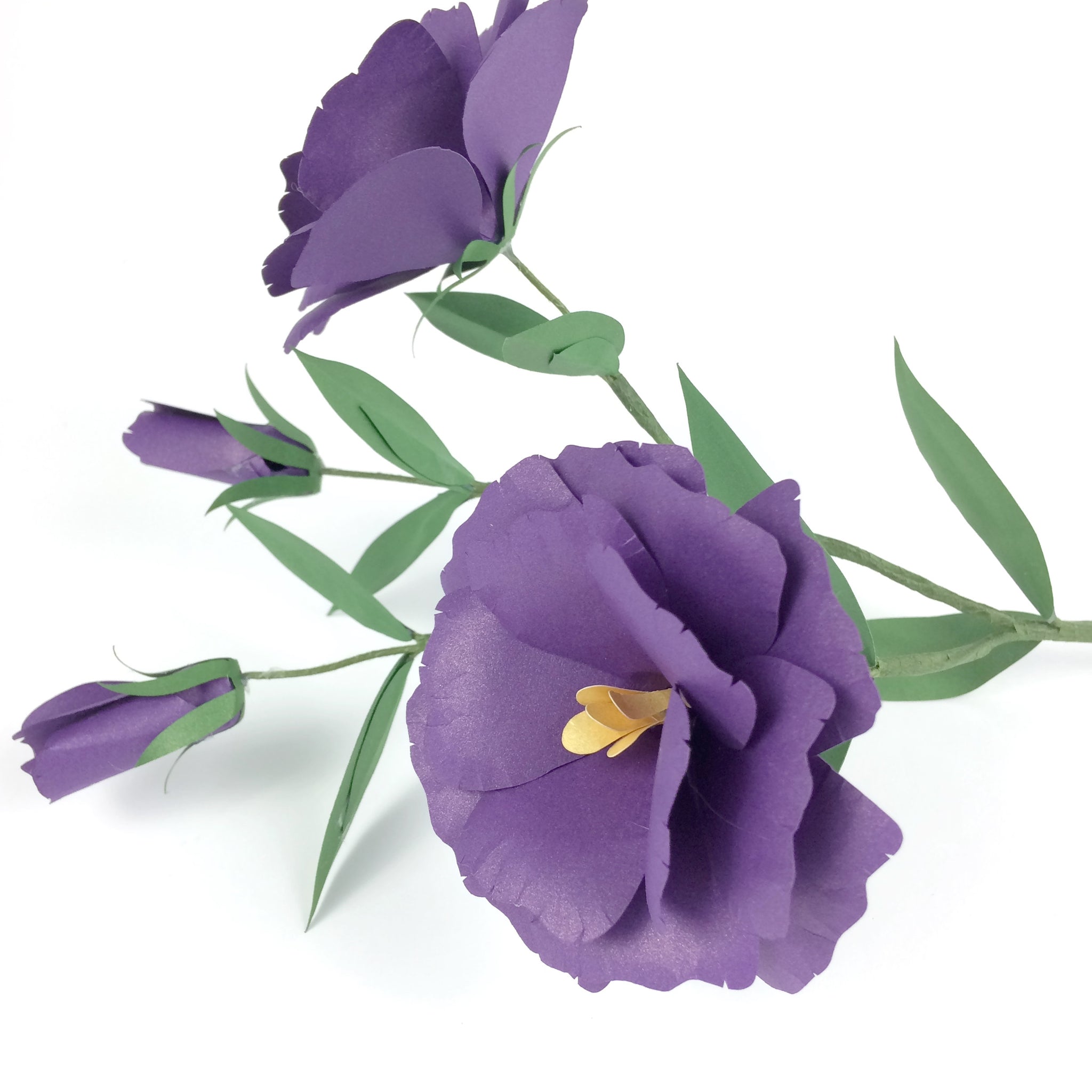 Lisianthus Paper Flower Template