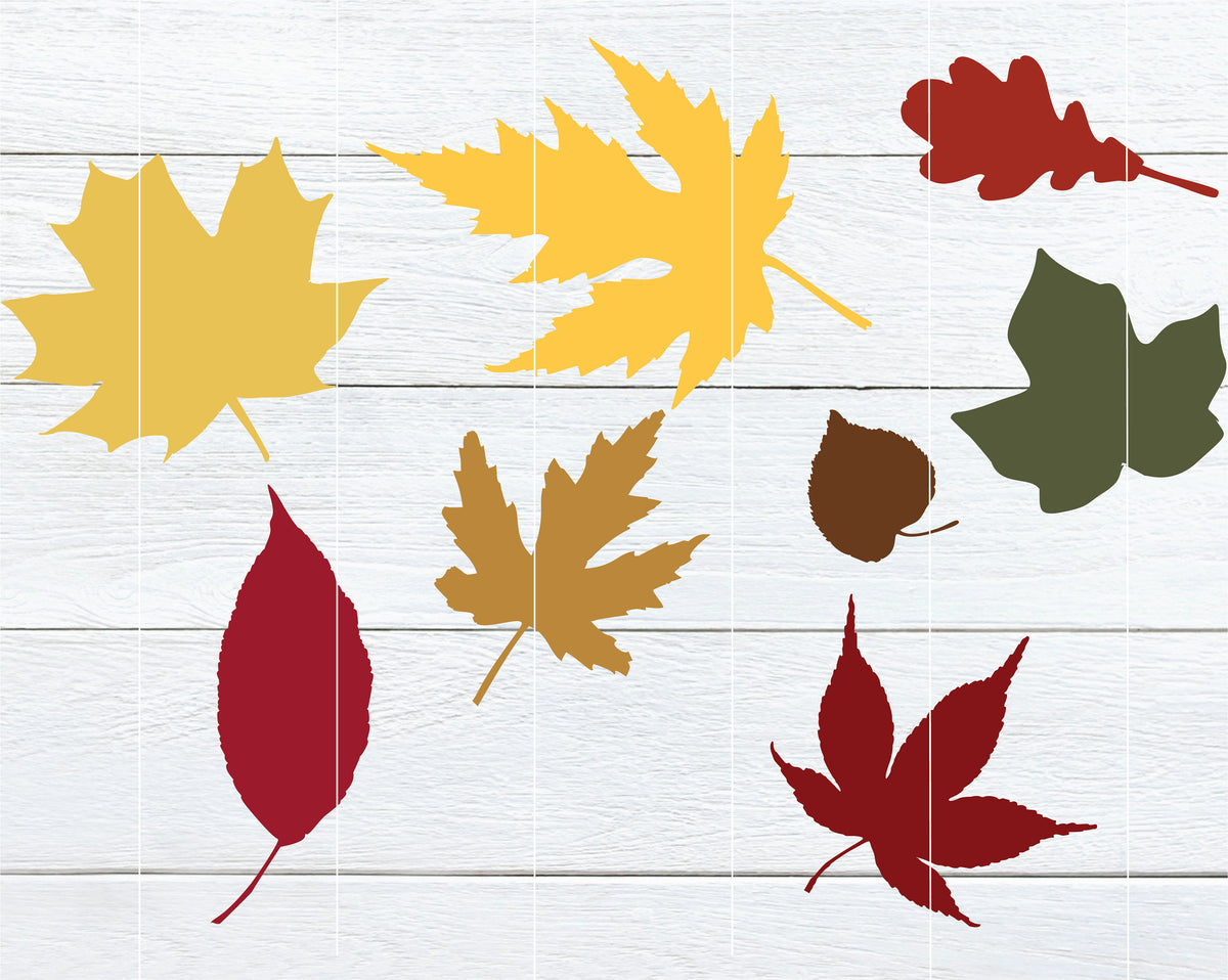 Realistic fall leaves SVG bundle
