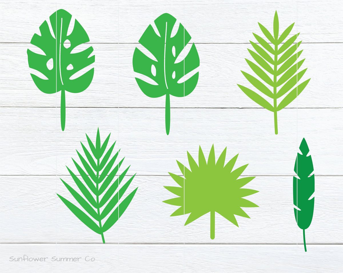 Palm Leaves SVG