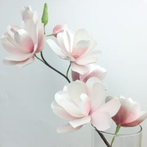Read more about the article Magnolia Paper Flower Tutorial