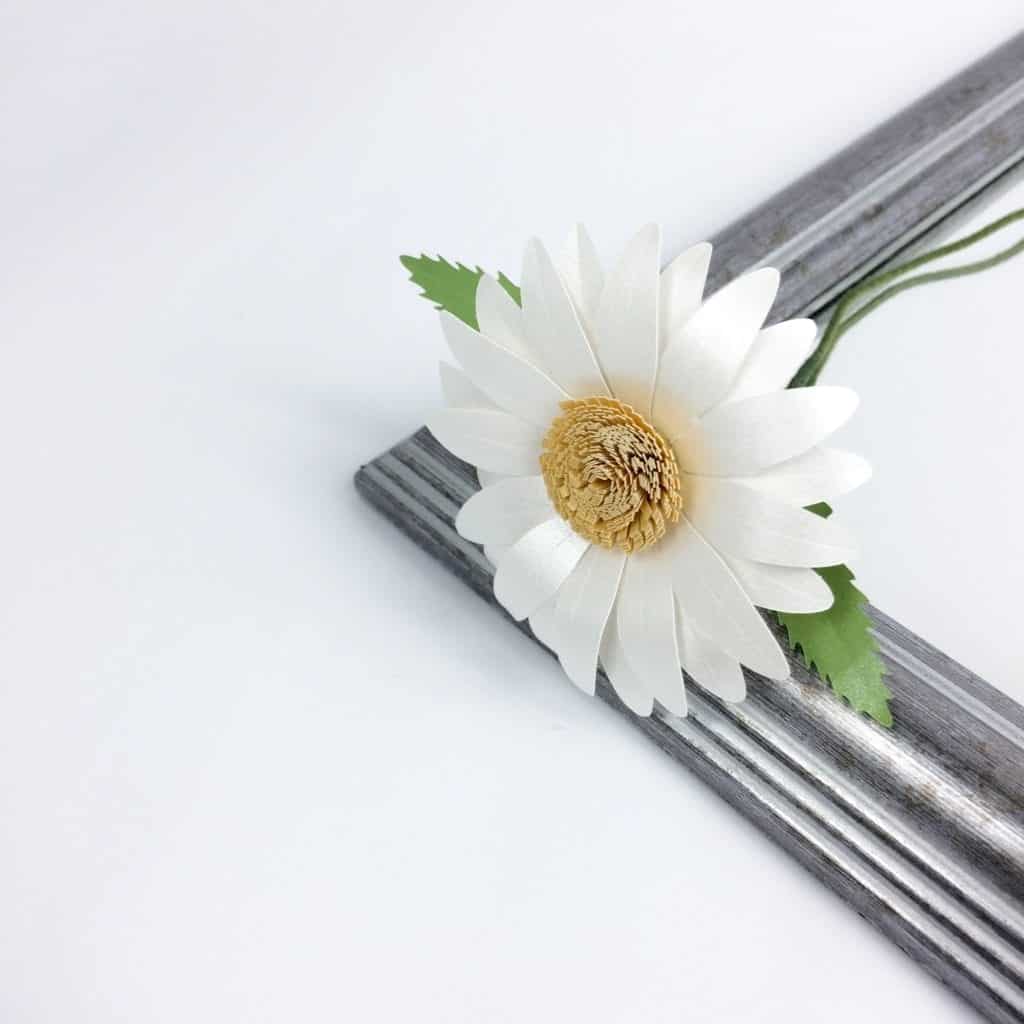 daisy paper flower template