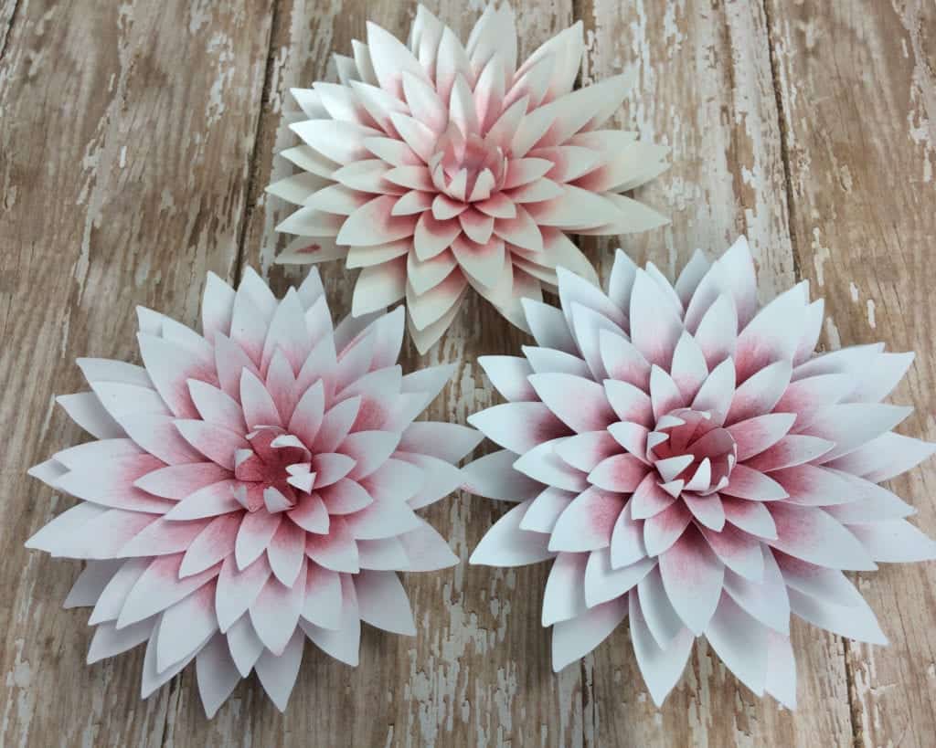 Best paper for paper flowers- picture of flowers made with different types of paper