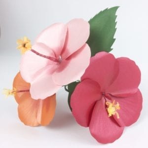 Read more about the article The Best Paper Hibiscus Making Guide- With Video Tutorial