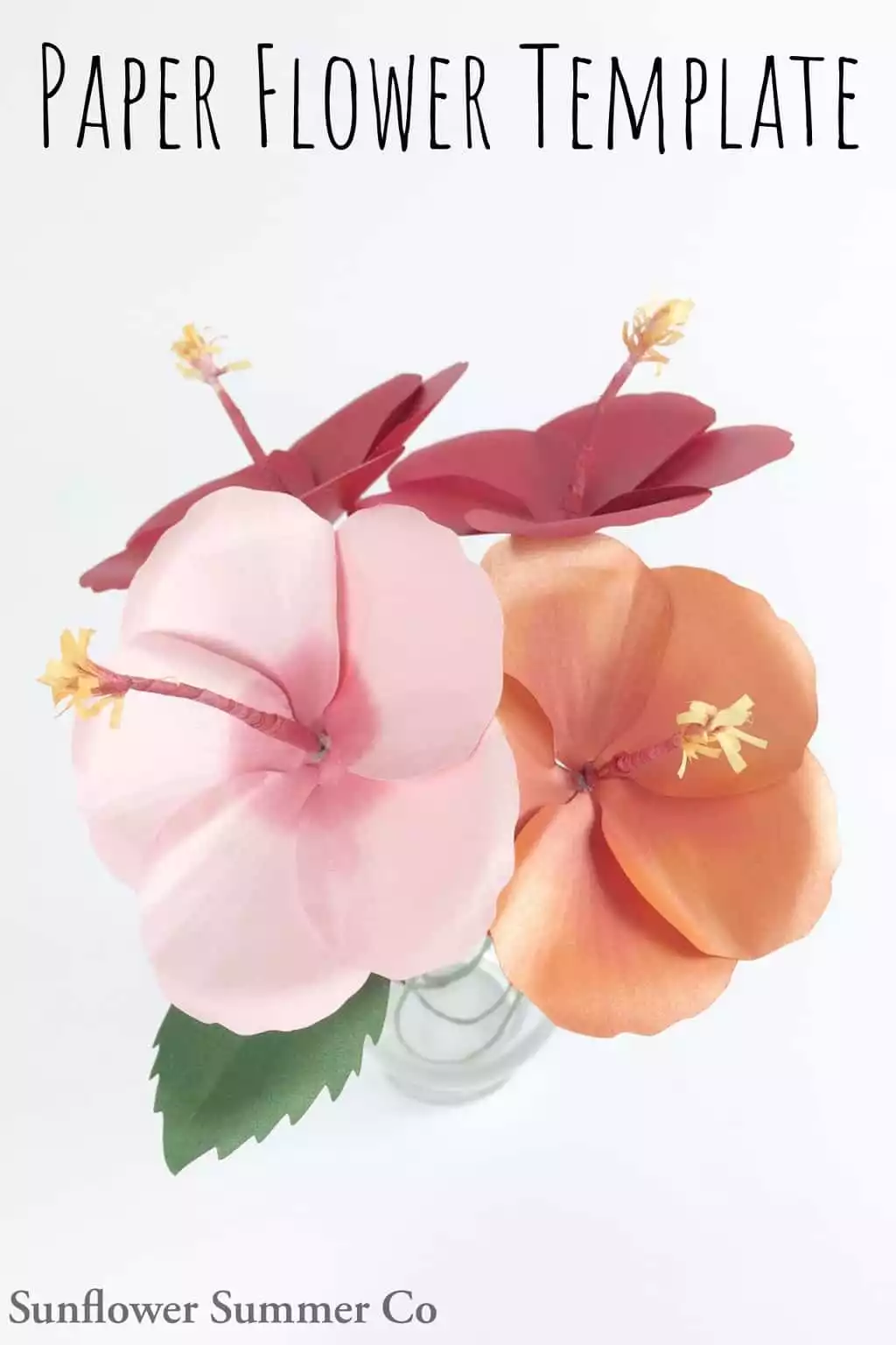 Hibiscus Paper Flower Template - Sunflower Summer Co