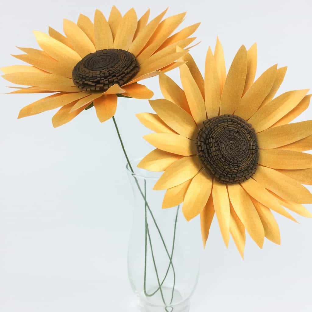 sunflower-sunflower-summer-co