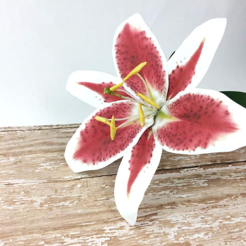 Learn how to make this paper stargazer lily. Paper flowers | how to make paper flowers | wedding decor | realistic paper flowers | Paper flower svgs | easy paper flowers | cricut paper flowers |DIY paper flowers