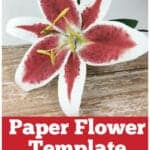 stargazer lily paper flower template