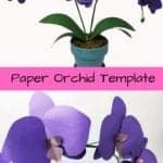 Learn how to make this paper orchid. It is really easy and looks amazing! Paper flower templates | Paper flower patterns | 3d paper flowers | svg flowers | small paper flowers | paper crafts | silhouette crafts | cricut projects |
