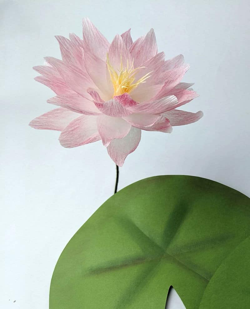 how to make paper lotus- paper lotus template