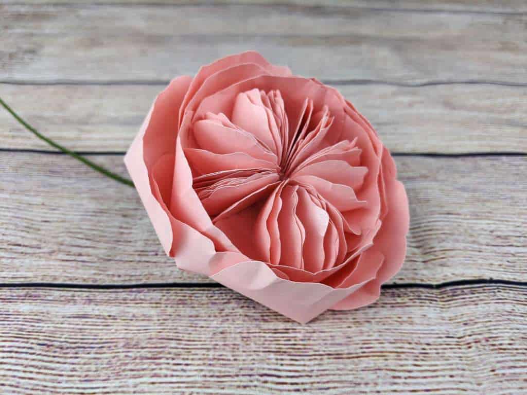 how to make cardstock paper juliet rose