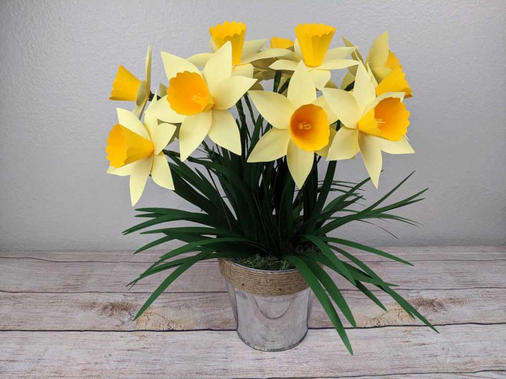 paper daffodil with free template