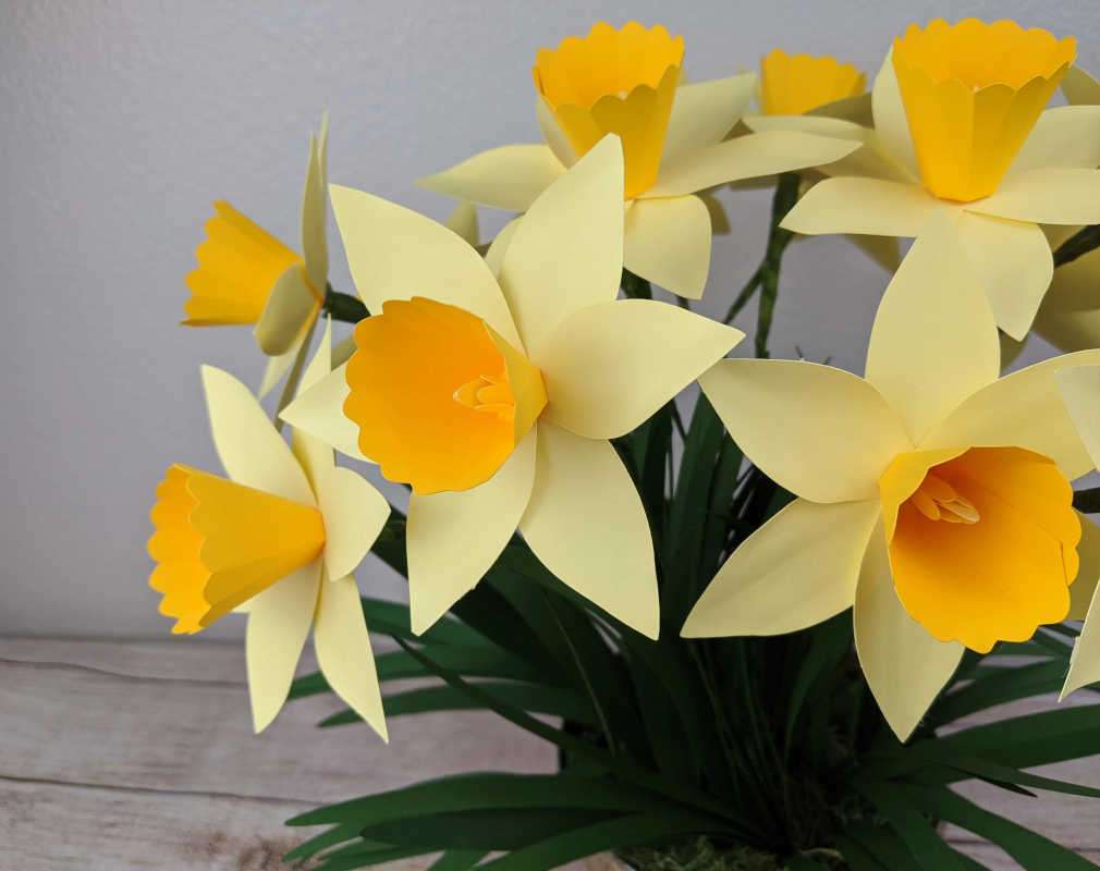 easy paper daffodil and free template