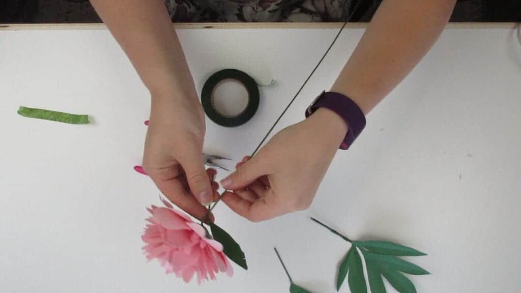 taping on the leaves of the paper peony