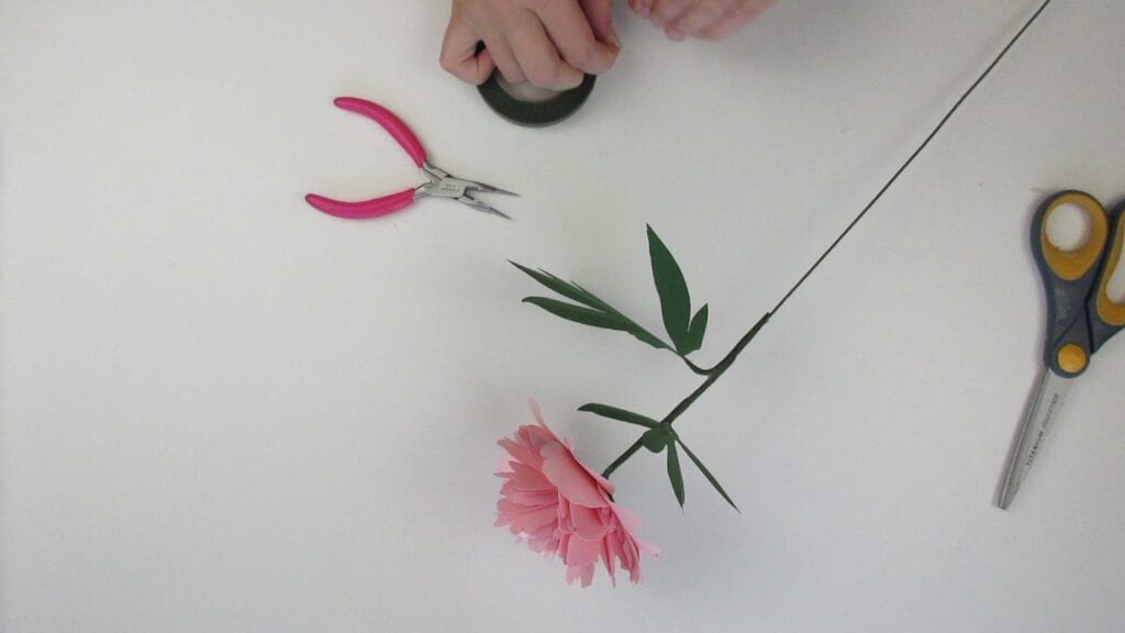taping on the leaves of the paper peony