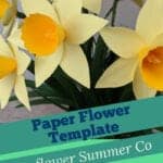 daffodil paper flower template