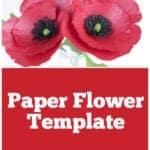 poppy paper flower template