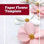cosmos paper flower template