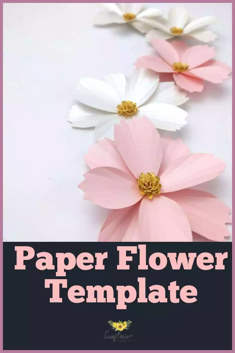 Paper Cosmos Template - Sunflower Summer Co