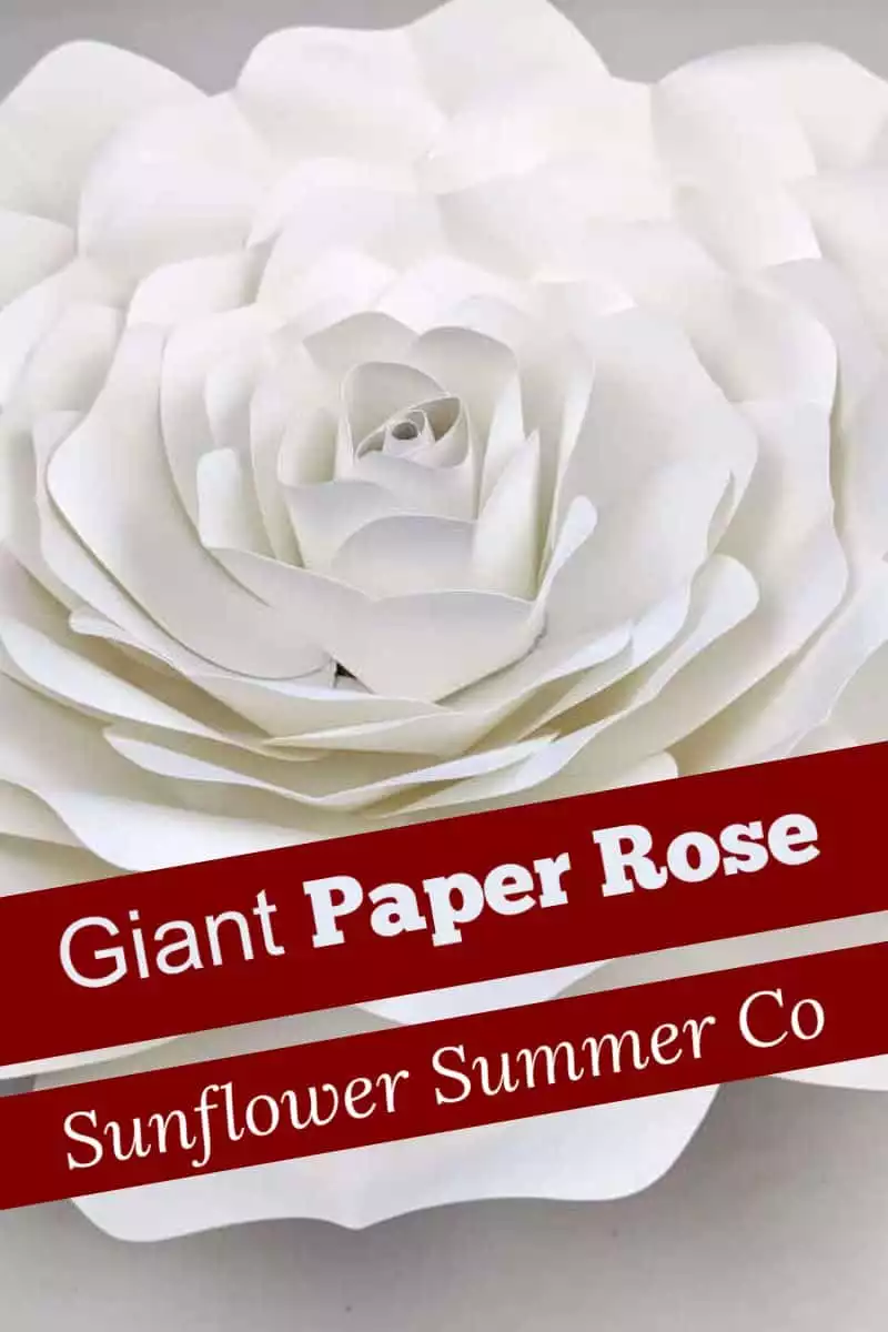 Giant Paper Rose SVG - Sunflower Summer Co