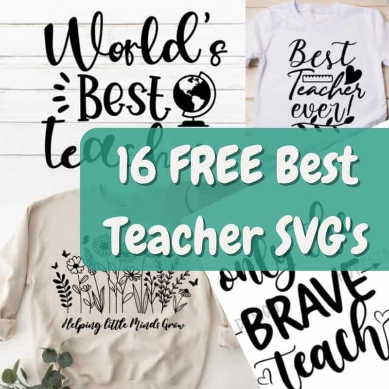 You are currently viewing 16 Best Teacher EVER SVG Cut Files- Most are FREE